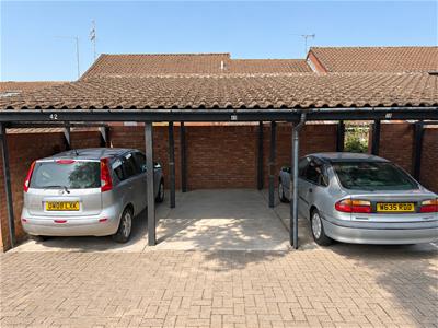 Picture 9